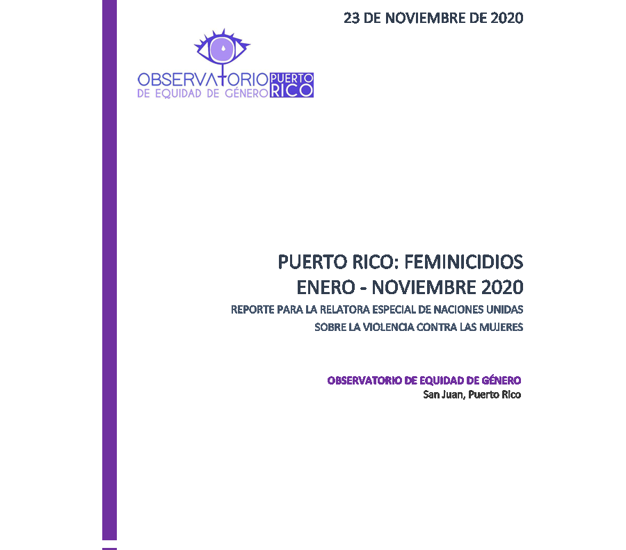 2020 - Puerto Rico: Feminicidios - Reporte para la Relatora Especial de las Naciones Unidas sobre la violencia contra las mujeres